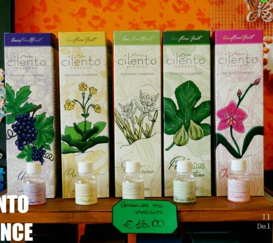 Cilento Essence