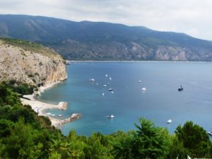 Proloco Camerota