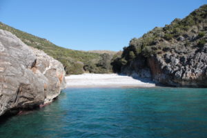Coop Cilento Mare