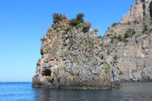 Coop Cilento Mare