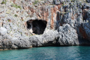 Coop Cilento Mare