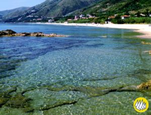 Pollica