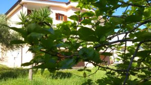Borgo Marinaro